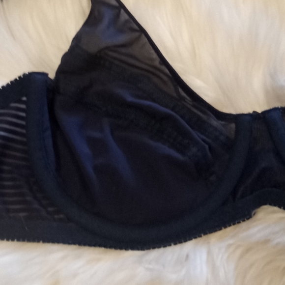 Curve Muse Satin & Mesh Striped Bra - Picture 13 of 16